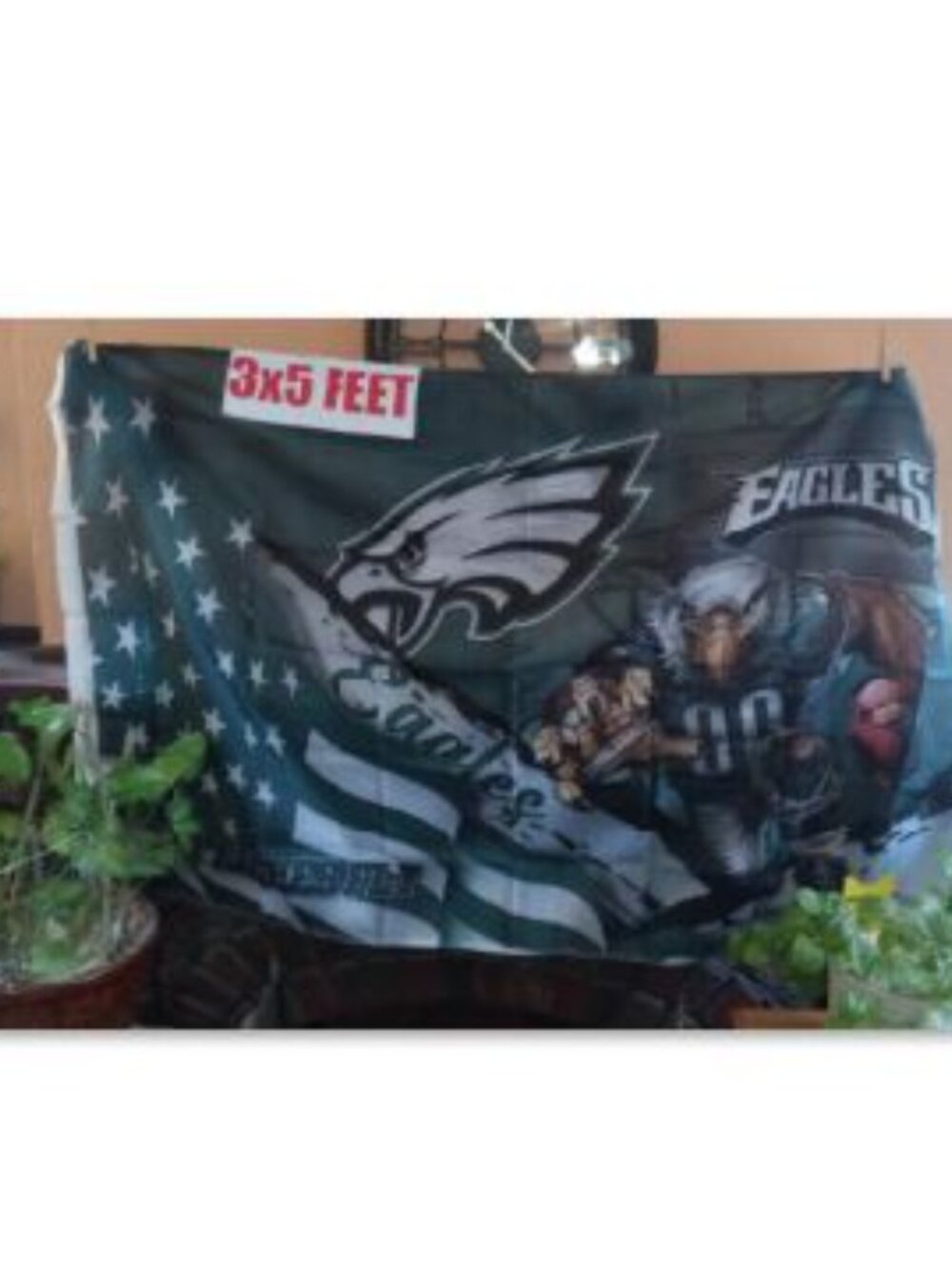 Philadelphia Eagles Stars & Stripes & Steroids NFL 3X5 Feet Flag Banner